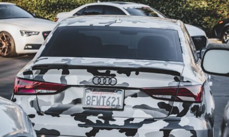 Audi S3 snow camo102
