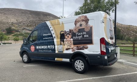 Wagmor Pet vehicle wrap10