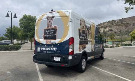 Wagmor Pet vehicle wrap14