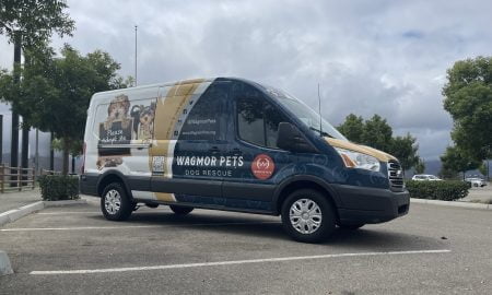 Wagmor Pet vehicle wrap15