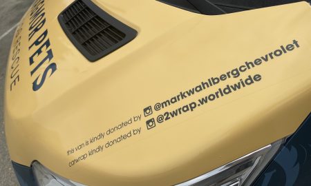 Wagmor Pet vehicle wrap17