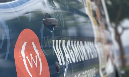 Wagmor Pet vehicle wrap19