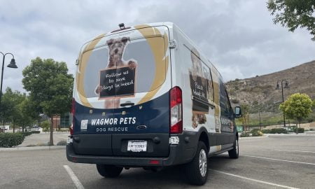 Wagmor Pet vehicle wrap22