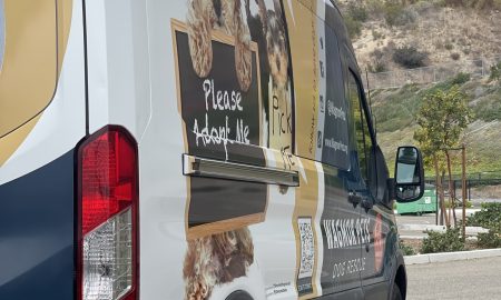 Wagmor Pet vehicle wrap23