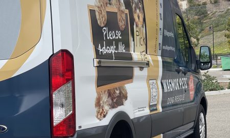 Wagmor Pet vehicle wrap24