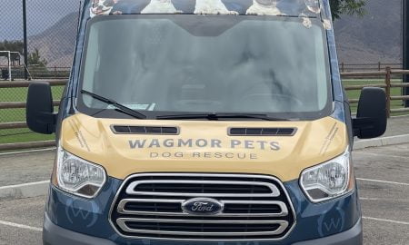Wagmor Pet vehicle wrap25