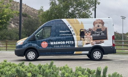 Wagmor Pet vehicle wrap30