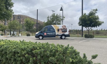 Wagmor Pet vehicle wrap32