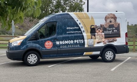 Wagmor Pet vehicle wrap33