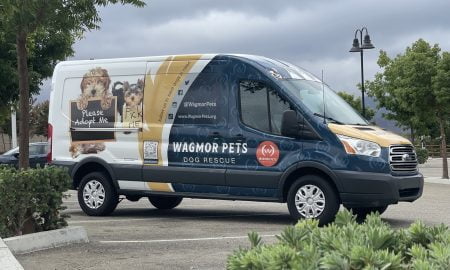 Wagmor Pet vehicle wrap36