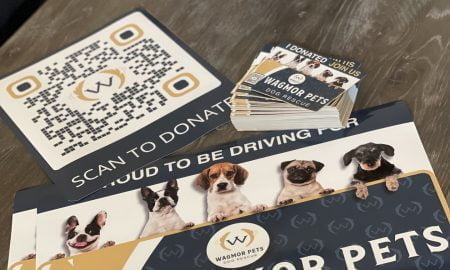 Wagmor Pet vehicle wrap6