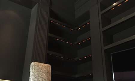 Library Room Carbon Canyon Road Black Velvet 8