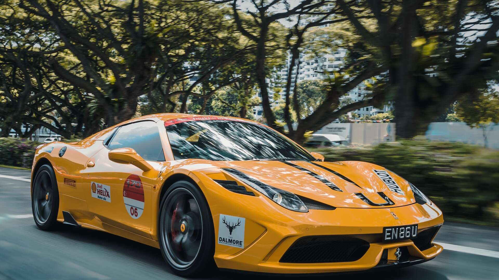 car paint protection film