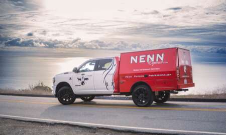 nenn Equine back view