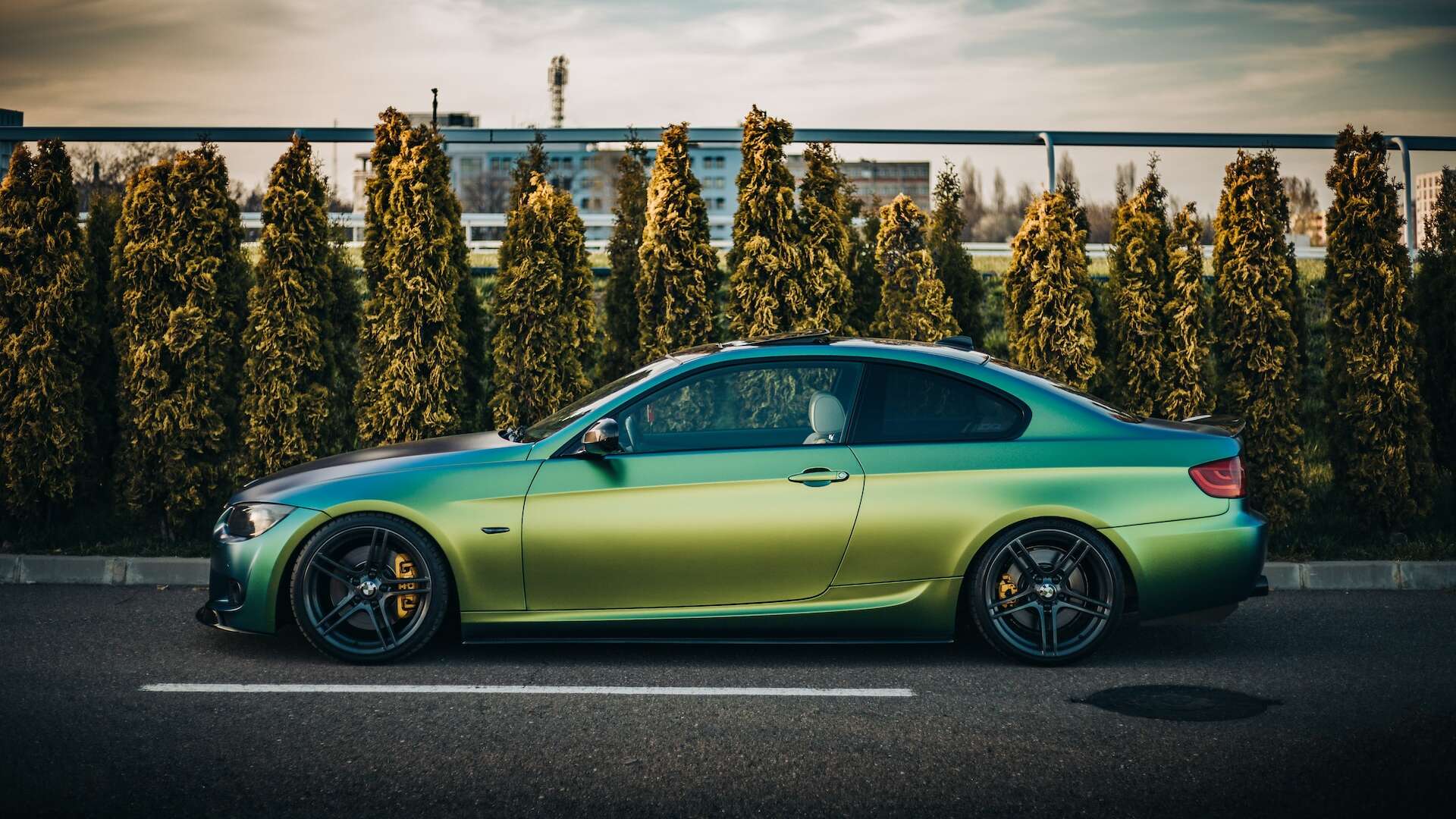 Car Wraps