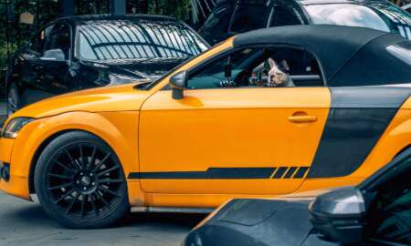 Auto wrappen
