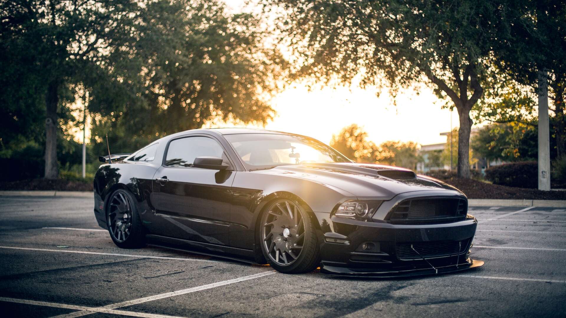 car with paint protection film