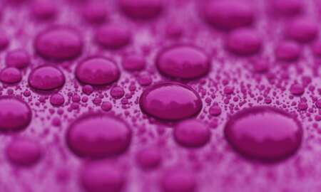 Ceramic Coating vinyl PPF