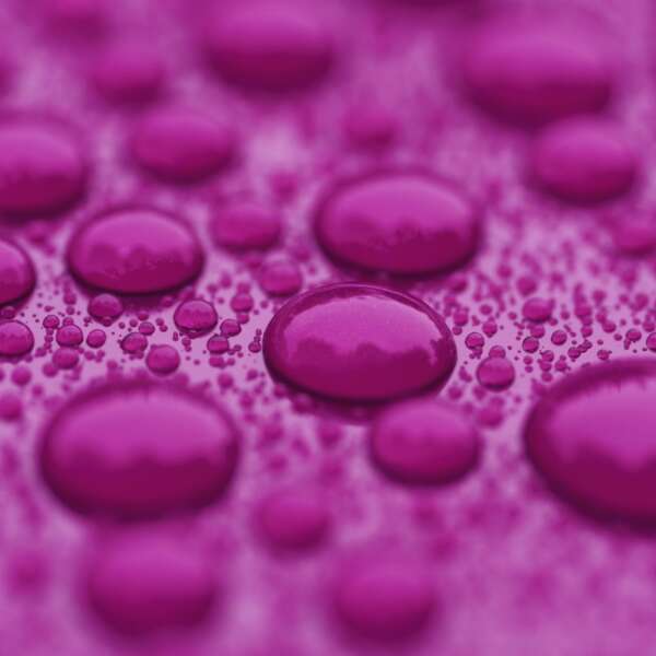 Ceramic Coating vinyl PPF